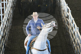 Top Vertical Photos Photo Gallery