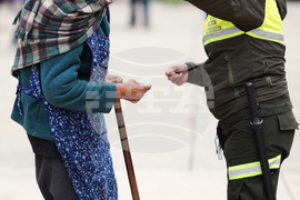 Top Vertical Photos Photo Gallery