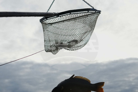 Top Vertical Photos Photo Gallery