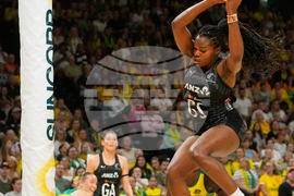 Australia New Zealand Netball