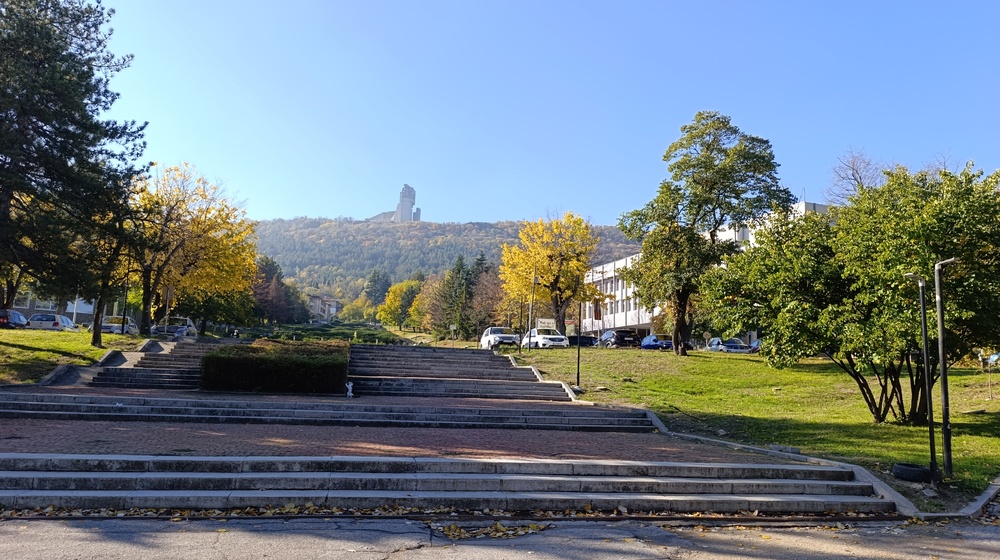 Общо 12 заболели сухи смърча в района на Летния театър на Шумен се премахват, съобщиха от пресцентъра на местната администрация