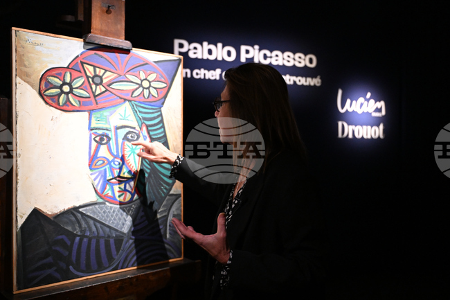 France Picasso Auction