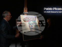 France Picasso Auction