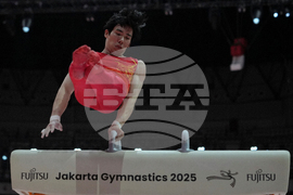 Indonesia Gymnastics World