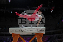 Indonesia Gymnastics World