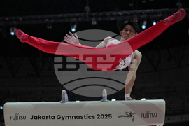 Indonesia Gymnastics World