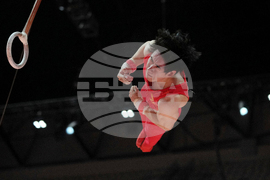 Indonesia Gymnastics World