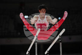 Indonesia Gymnastics World