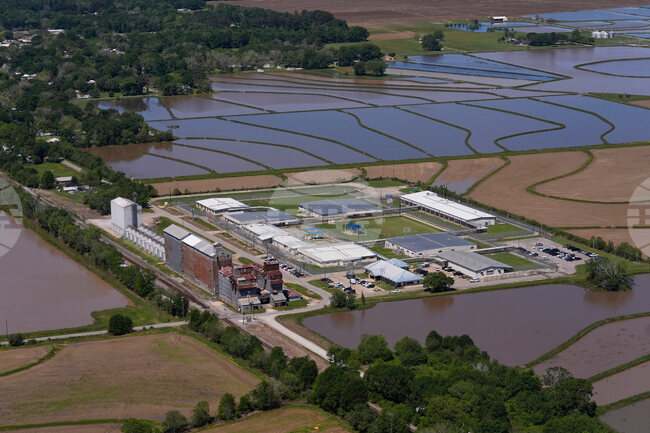 Immigration-Pregnant Detainees