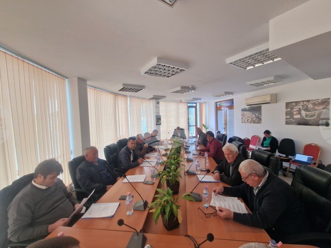 Неделино - общински съвет