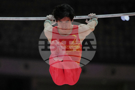 Indonesia Gymnastics World