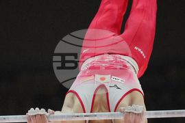 Indonesia Gymnastics World