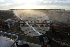 Mexico US Trump Beef