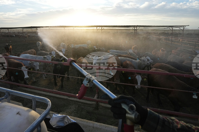 Mexico US Trump Beef