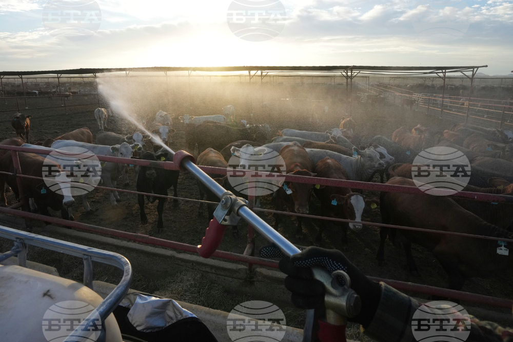 Mexico US Trump Beef