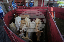 Mexico US Trump Beef