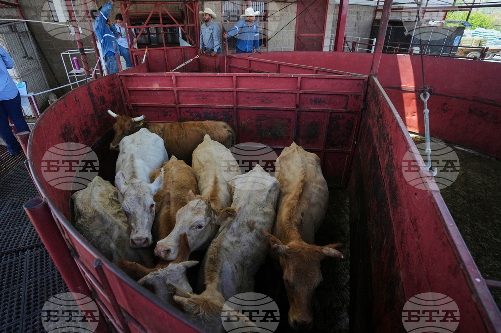 Mexico US Trump Beef