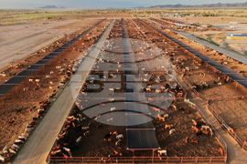 Mexico US Trump Beef