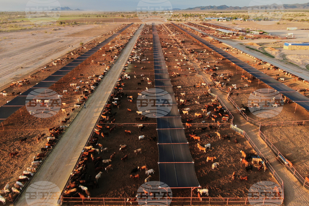 Mexico US Trump Beef