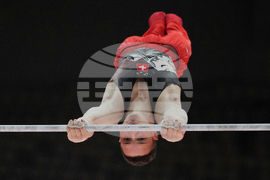 APTOPIX Indonesia Gymnastics World