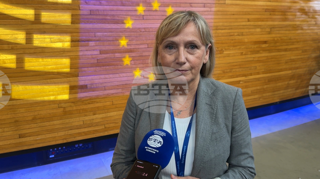 Трябват ясни правила при въвеждане на нови механизми за защита на демокрацията, каза Елена Йончева по време на разискванията по проекта EUDS