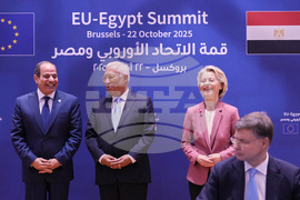 Belgium EU Egypt