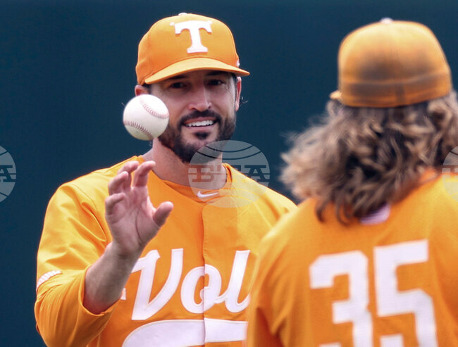 Giants Vitello Baseball