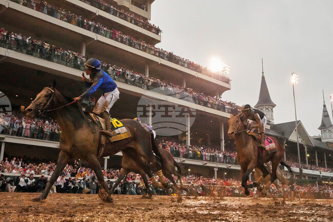 Breeders Cup Pre Entries Horse Racing