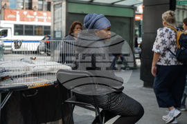 Immigration Canal Street Sweep