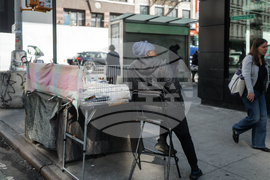 Immigration Canal Street Sweep