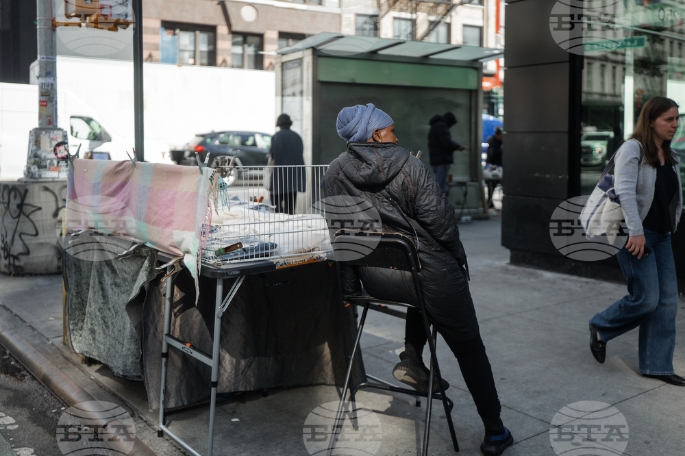 Immigration Canal Street Sweep