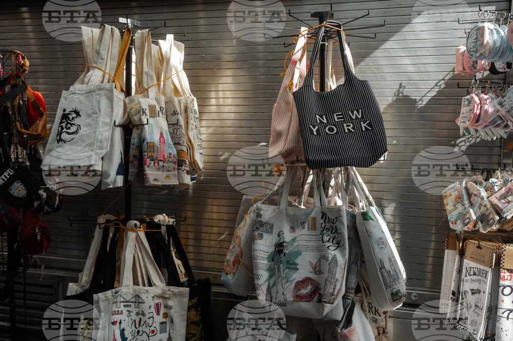 Immigration Canal Street Sweep