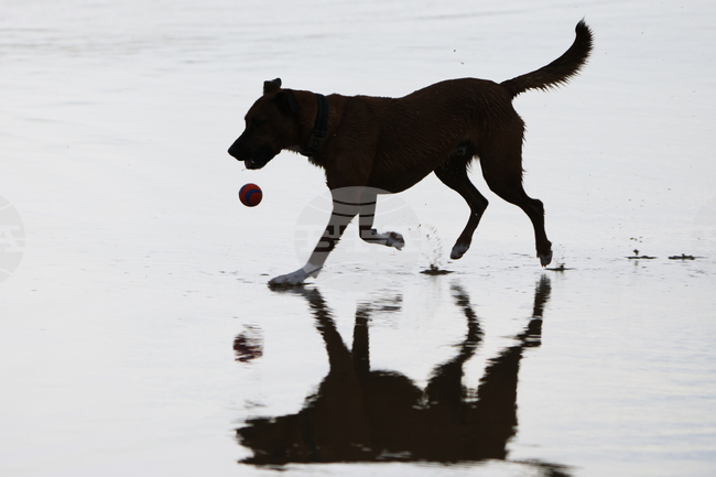 APTOPIX Australia Extreme Weather