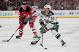 Wild Devils Hockey