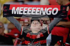 Brazil Argentina Soccer Copa Libertadores