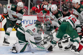 Wild Devils Hockey
