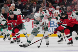 Wild Devils Hockey