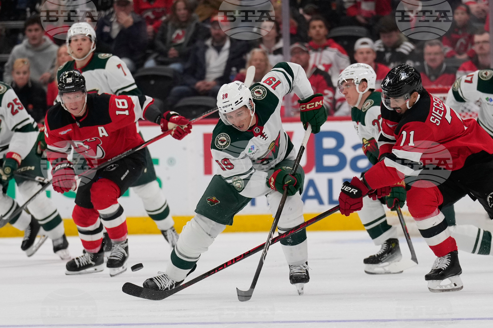 Wild Devils Hockey