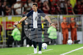 Brazil Argentina Soccer Copa Libertadores