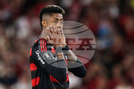 Brazil Argentina Soccer Copa Libertadores