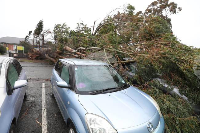New Zealand Extreme Weather