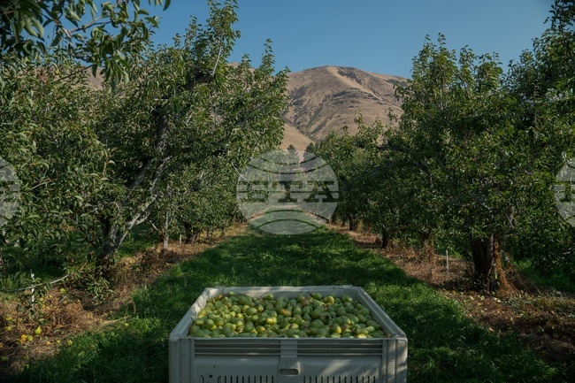 Climate Heat Farmworkers Pregnancy