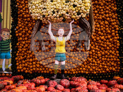 Germany Pumpkin Fest