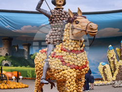 Germany Pumpkin Fest
