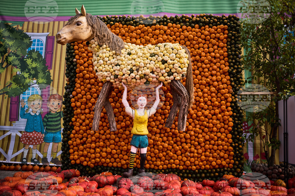 Внуци на шведската писателка Астрид Линдгрен завеждат дело срещу хърватски производител на безалкохолни напитки заради Пипи Дългото чорапче