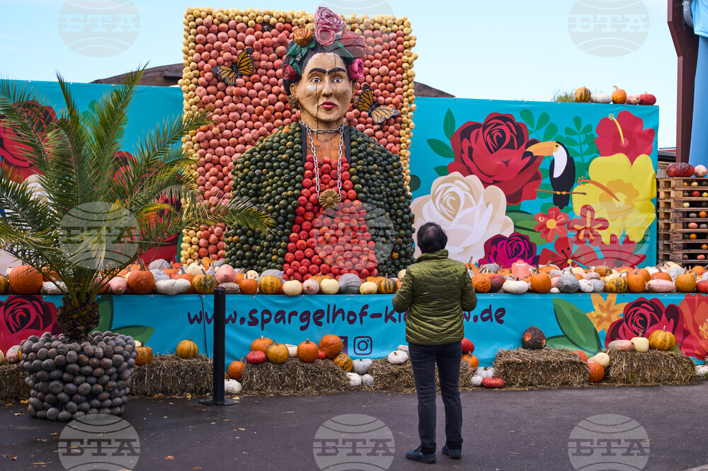 Над 100 000 тикви в различни форми и цветове са показани на фестивал край Берлин