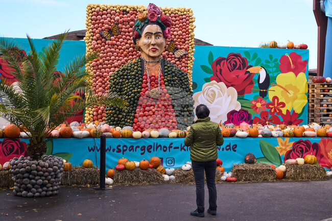 Над 100 000 тикви в различни форми и цветове са показани на фестивал край Берлин