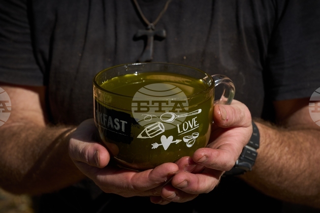 Турска компания открива първата в света „библиотека за зехтин“ близо до турския град Измир 