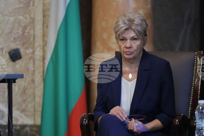 Публично-частното партньорство е бъдещето на концесиите, смята бившият министър на околната среда и водите Нона Караджова