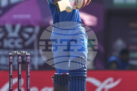 India Women's Cricket WCup